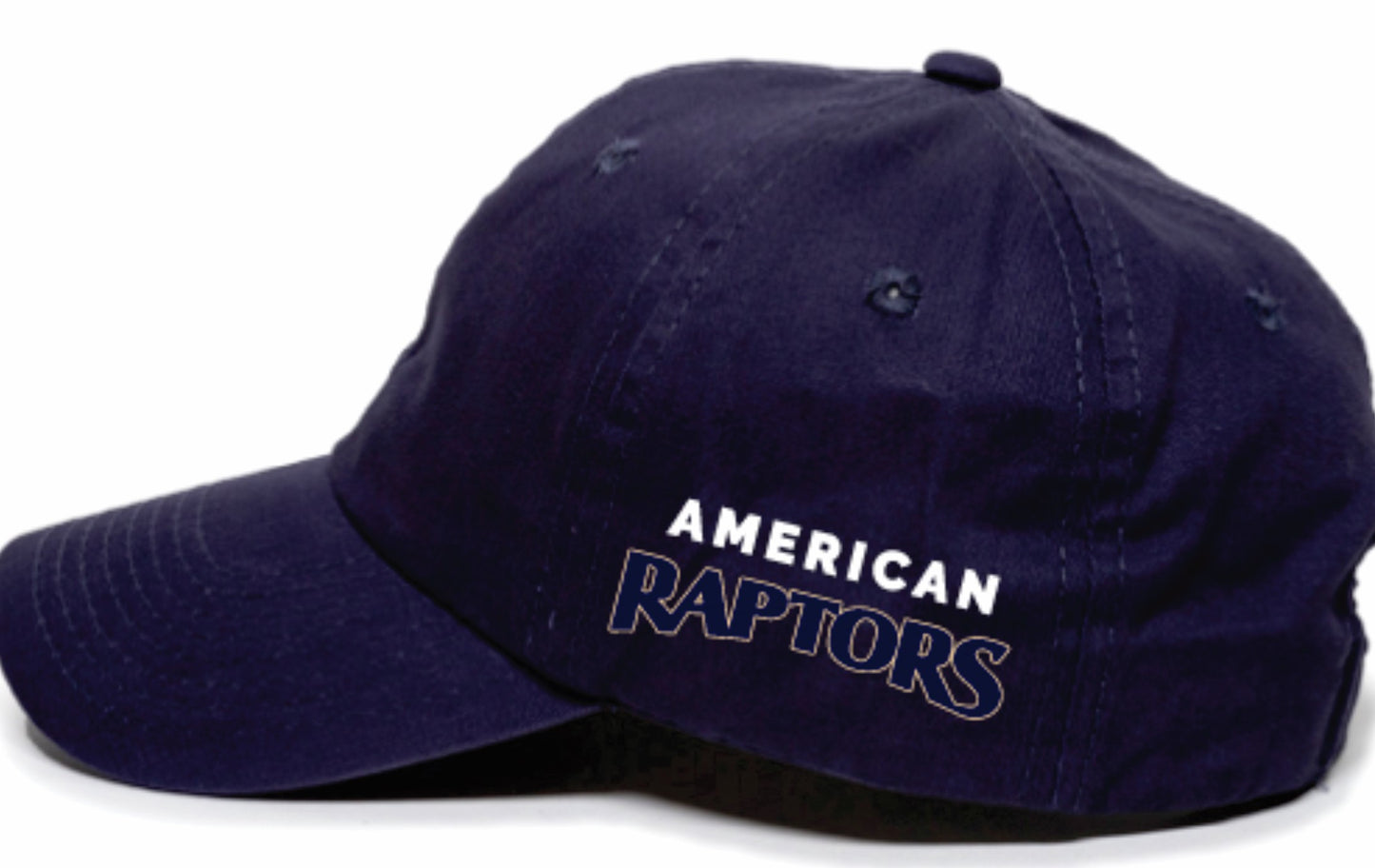 AMERICAN RAPTORS HAT - NAVY